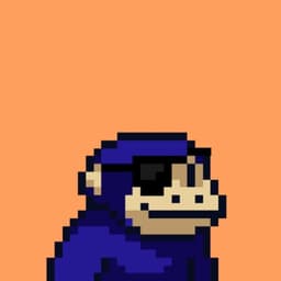 b0rg